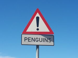 penguins-1051324_960_720